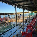 부흥호 가두리 낚시터 이미지