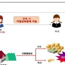 세무뉴스