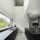 숲을향한시선 이미지