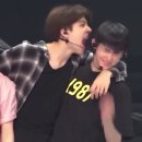 나만의블랙스완당신을보고첫눈에반했습니다