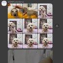 슬로베리 이미지