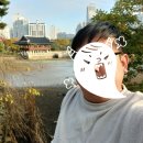 판교종합 동물병원 이미지