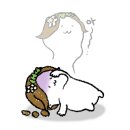 보나투게더 이미지