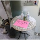 베스트 의정부 애견 미용학원 이미지