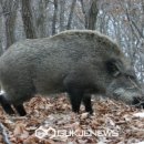 서울초당초등학교 이미지