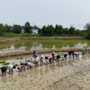 백원초등학교 이미지