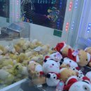 뽑기24시 이미지