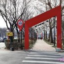 김광석 빛 길 이미지