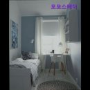 스테이모모