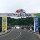 제 16회 서귀포 칠십리 축제…보고, 먹고 즐기는 ‘칠십리’ 이미지