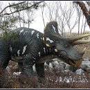 덕소자연사박물관 이미지