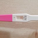 인우약국 | [다낭성 난소/임신 준비 기록1] 산부인과, 난임병원 🏥진료 후기부터 📝산전검사까지