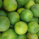 라임스위트 이미지