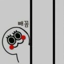 빼꼼 이미지