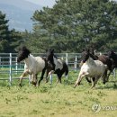 국립축산과학원 난지축산연구소 이미지