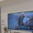 최우진정형외과의원 이미지