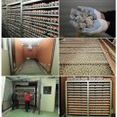 정완농장 이미지