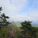 '25년 04월 20일 12-5구간 후기 이미지