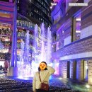 카토리존 | [11월 후쿠오카 여행] 나카스 둘러보기 - 캐널시티 하카타(분수쇼, 점프샵, 산리오샵), 야키토리 맛집...