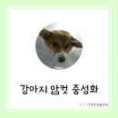 다정한 동물병원 이미지