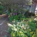 곰배령황토펜션 이미지