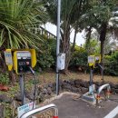 서귀포흑돼지명가 이미지