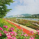 장미회집 이미지