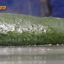 매일떡방앗간 이미지