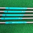 H-054 | 브릿지스톤 201CB 아이언 스틸파이버 샤프트 중고채 시타 구매 후기 포항골프샵
