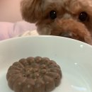 디디디아이 이미지