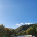 페이팝스
