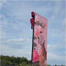 선덕암