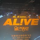 피카디리홀 | 2026년 2월 7일 CGV1958 피카디리홀 월간종로 AL!VE_극동아시아타이거즈 관람 후기