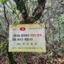 무릉2리마을회 이미지