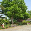 우향펜션 이미지