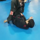 화승합기도&주짓수 이미지
