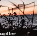 대하다방 이미지