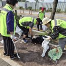 대성아파트경로당 이미지