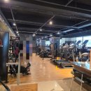 스타휘트니스 | 자양동헬스장 건대헬스 휘트니스캐리스타 후기