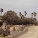 태흥3리 이미지