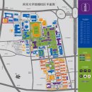 2학기(3월~6월) / 어린이 난타교실 초급 (10시 30분) | 경제학원 석사생이 알려주는 &#39;남경대학교&#39; - feat. 푸코우 캠퍼스