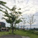 여주-0813 이미지