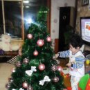 핑크트리 이미지