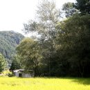 보룡1리 이미지