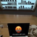 안도테이블 네이버블로그