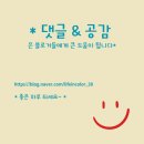 성인스위스아파트 | [유럽][스위스] 가족여행 1일차, 샤프하우젠-게르사우, 고산병 약 구매기