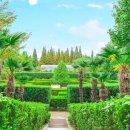 함양옻닭명곡점 이미지