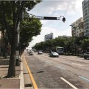 주정차단속-124 이미지