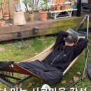 꽃피는 무릉도원 이미지