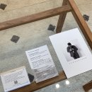 해이랑마파람 이미지